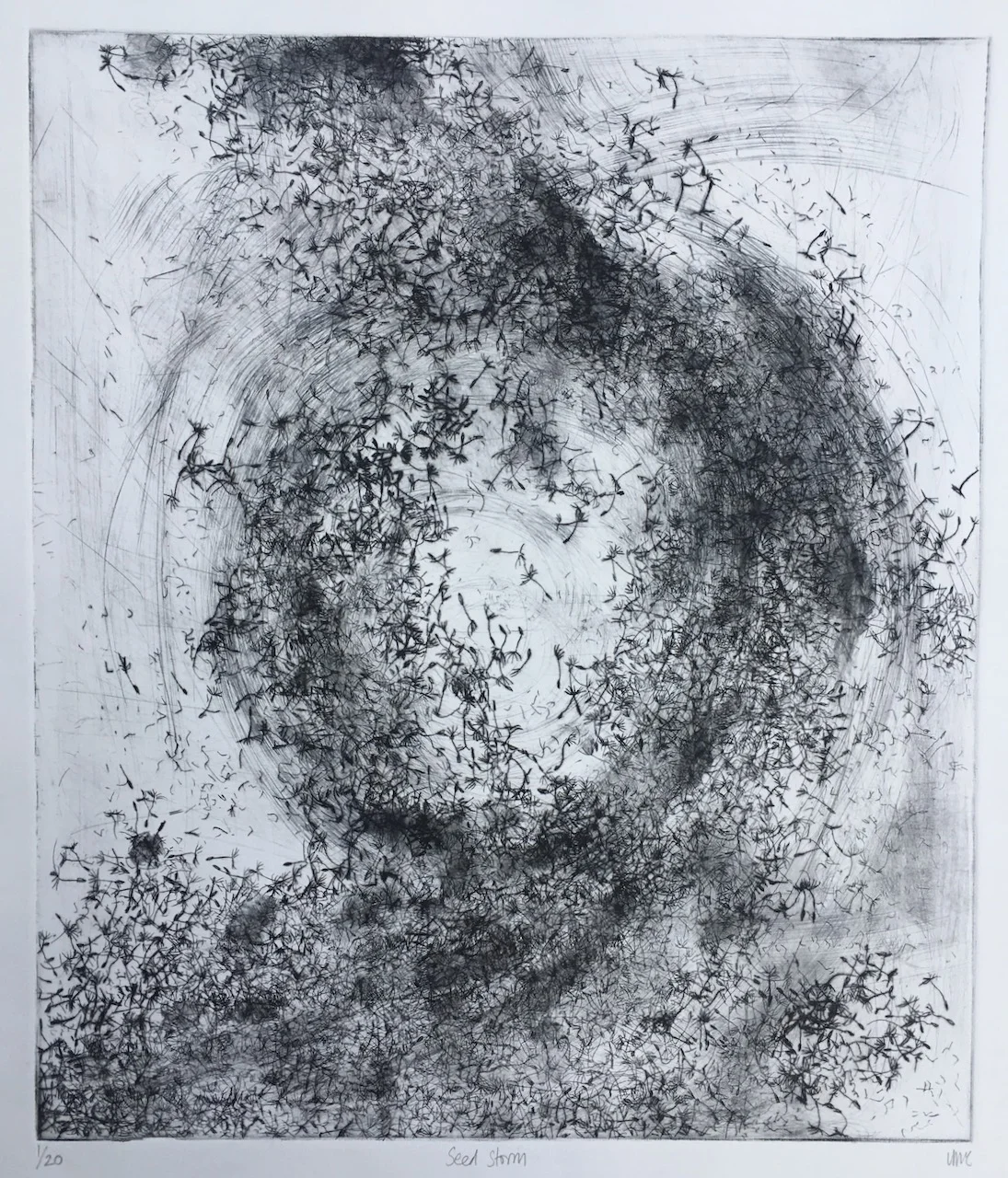 Seed Storm