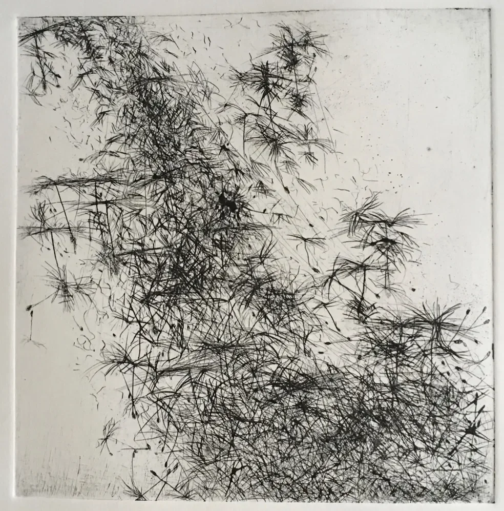 Tangle